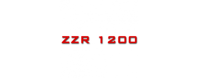 ZZR 1200, ZX 1200