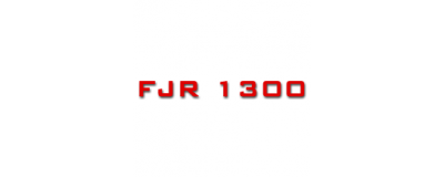 FJR 1300
