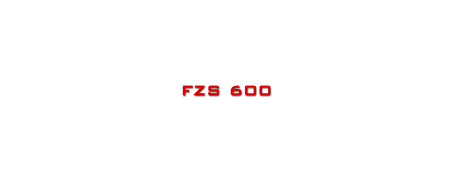 FZS 600