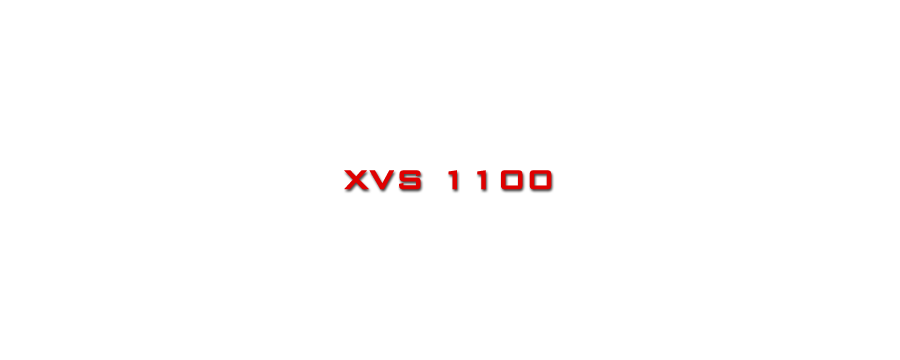 XVS 1100