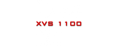 XVS 1100