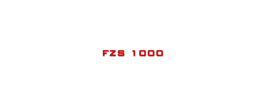 FZS 1000