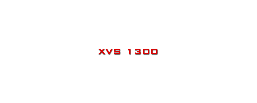 XVS 1300