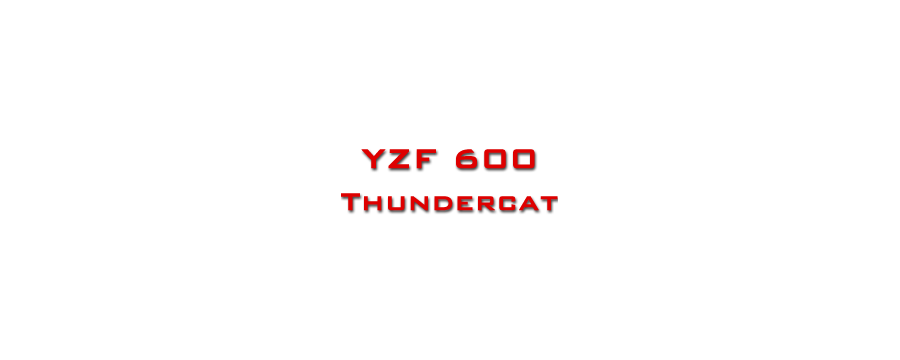 YZF 600 THUNDERCAT
