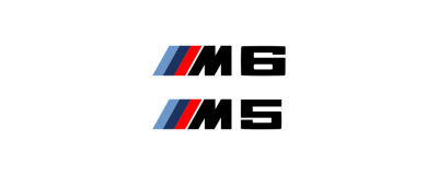 M5 M6